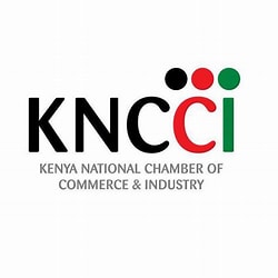 KNCCI Logo