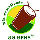 enefm-logo - Copy